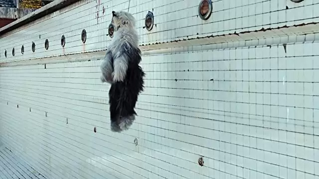 THE POOL ザ・プールの画像