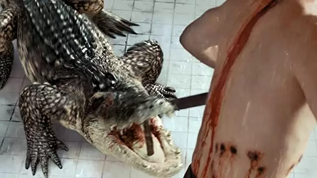 THE POOL ザ・プールの画像