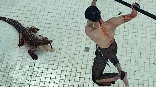 THE POOL ザ・プールの画像