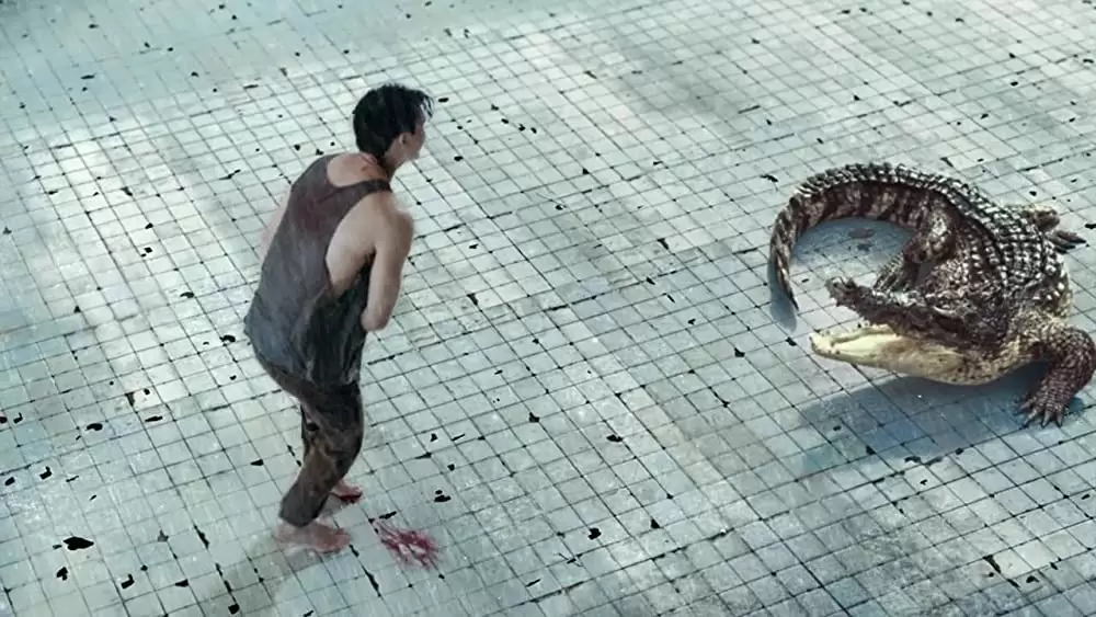 THE POOL ザ・プールの画像