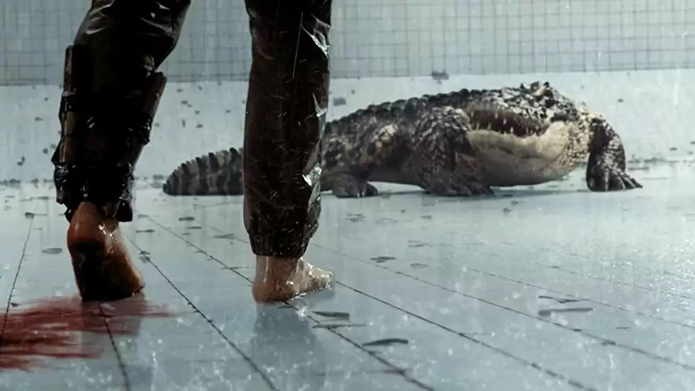 THE POOL ザ・プールの画像