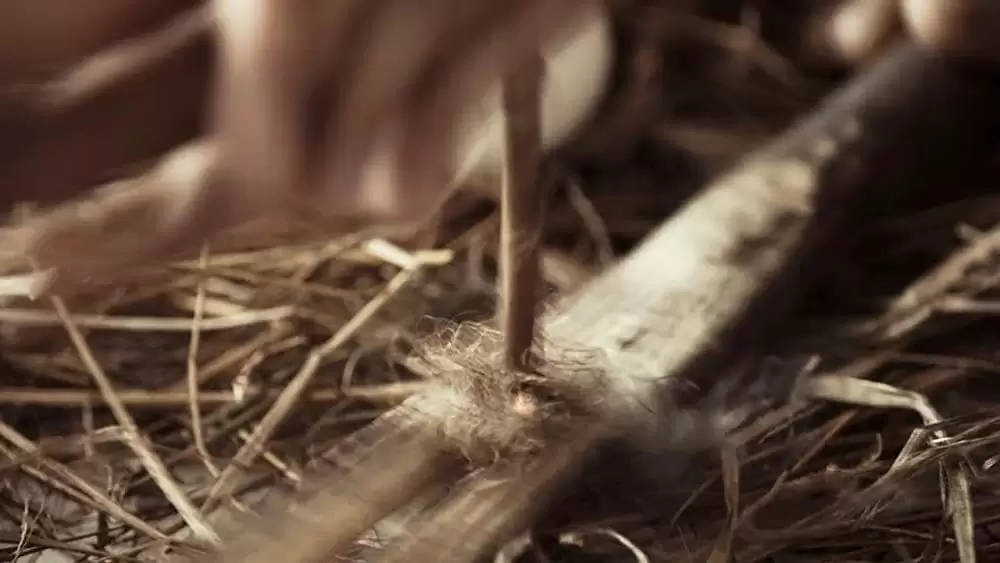 THE POOL ザ・プールの画像