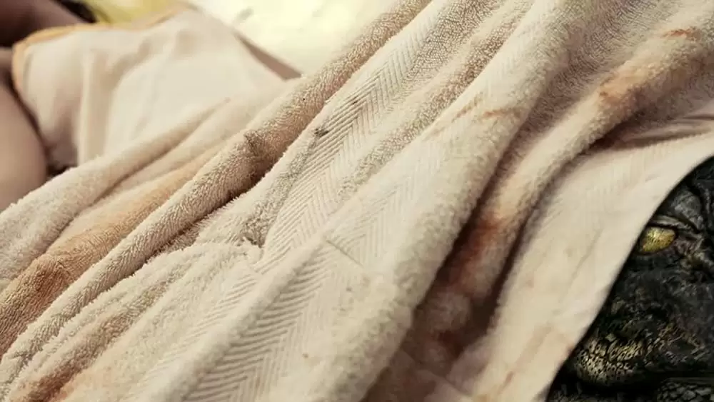 THE POOL ザ・プールの画像