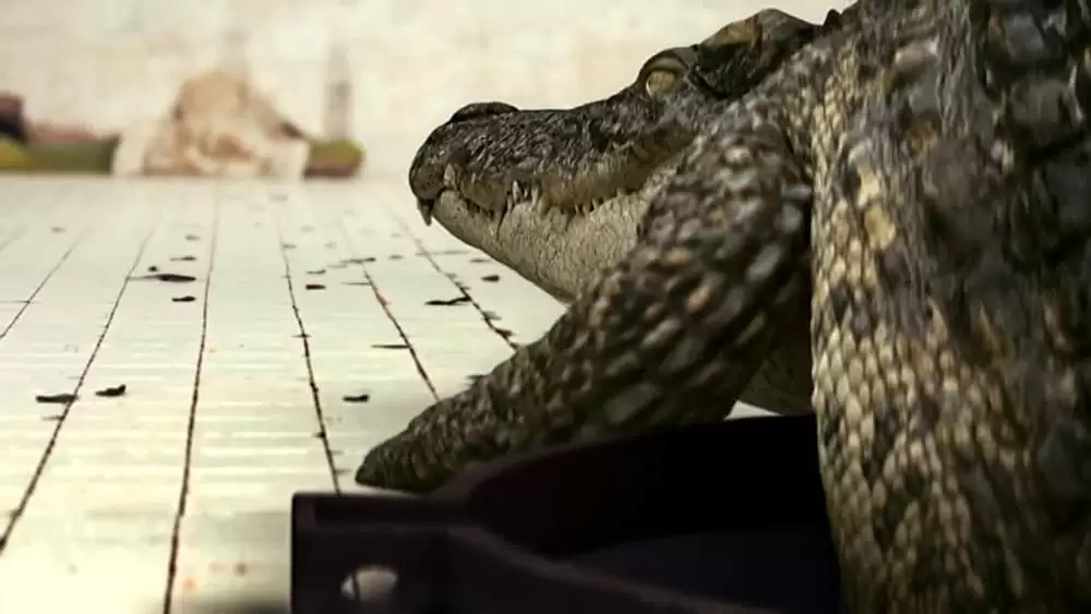 THE POOL ザ・プールの画像