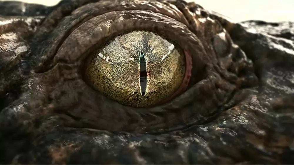 THE POOL ザ・プールの画像