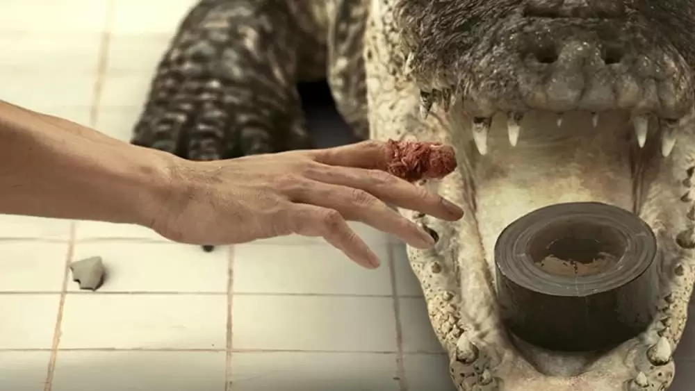 THE POOL ザ・プールの画像