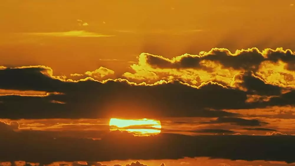 THE POOL ザ・プールの画像