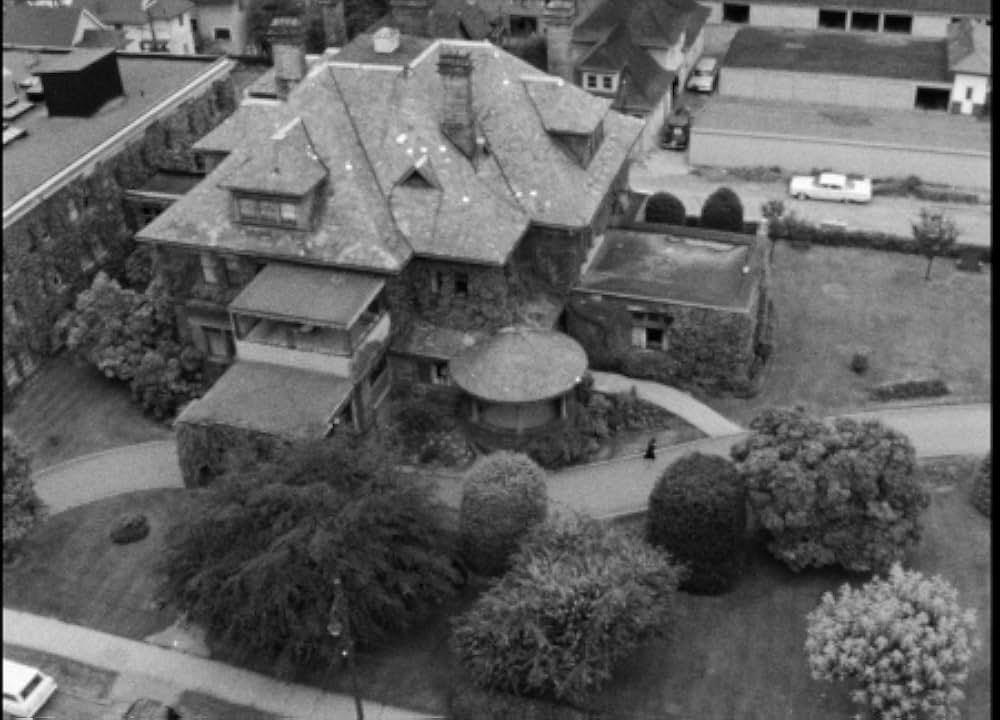 When Tomorrow Dies（原題）の画像