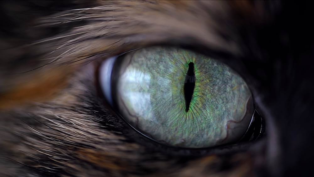 Hell Trip（原題）の画像