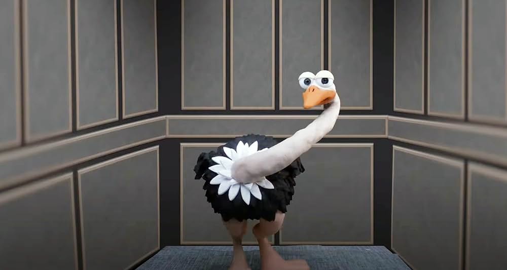 An Ostrich Told Me the World Is Fake and I Think I Believe It（原題）の写真