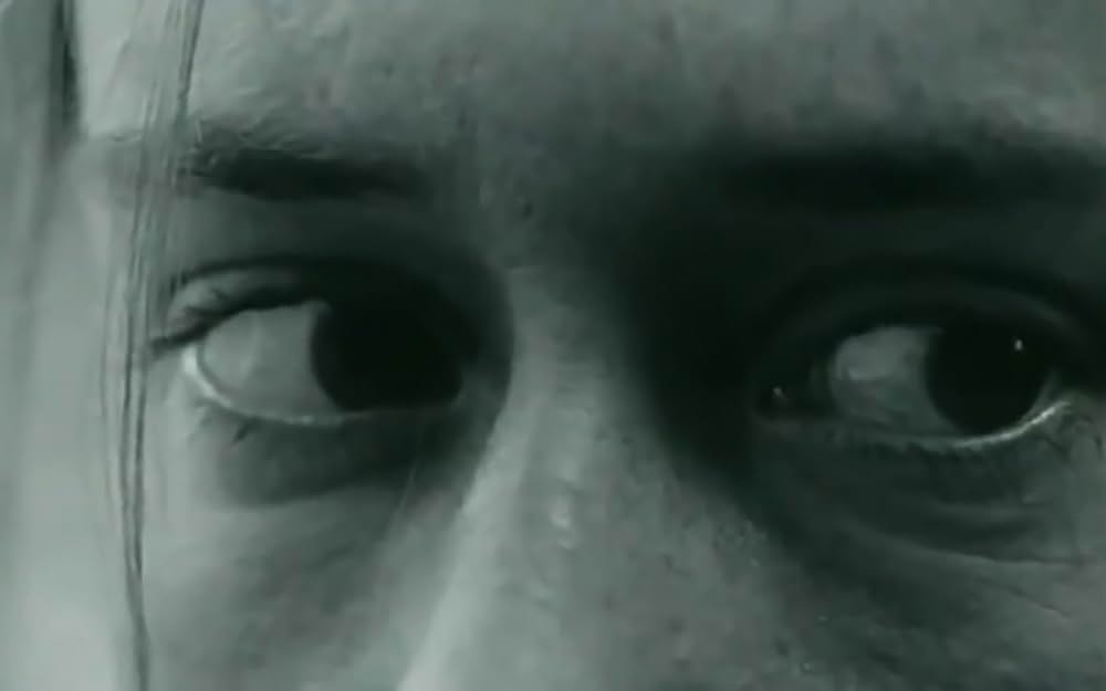 Schwarzfahrer（原題）の画像