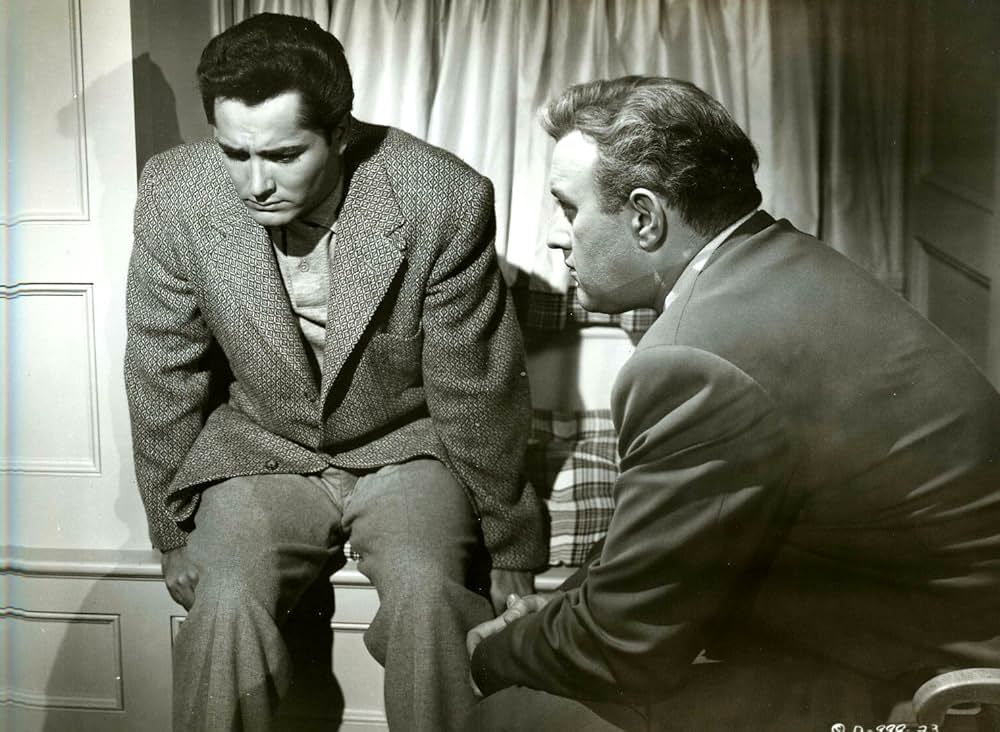 The Family Secret（原題）の画像