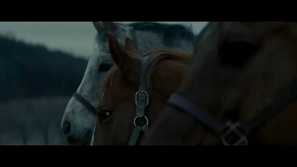 フィクサーの画像