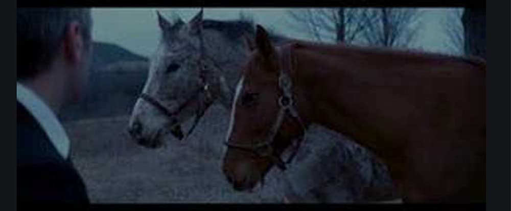 フィクサーの画像