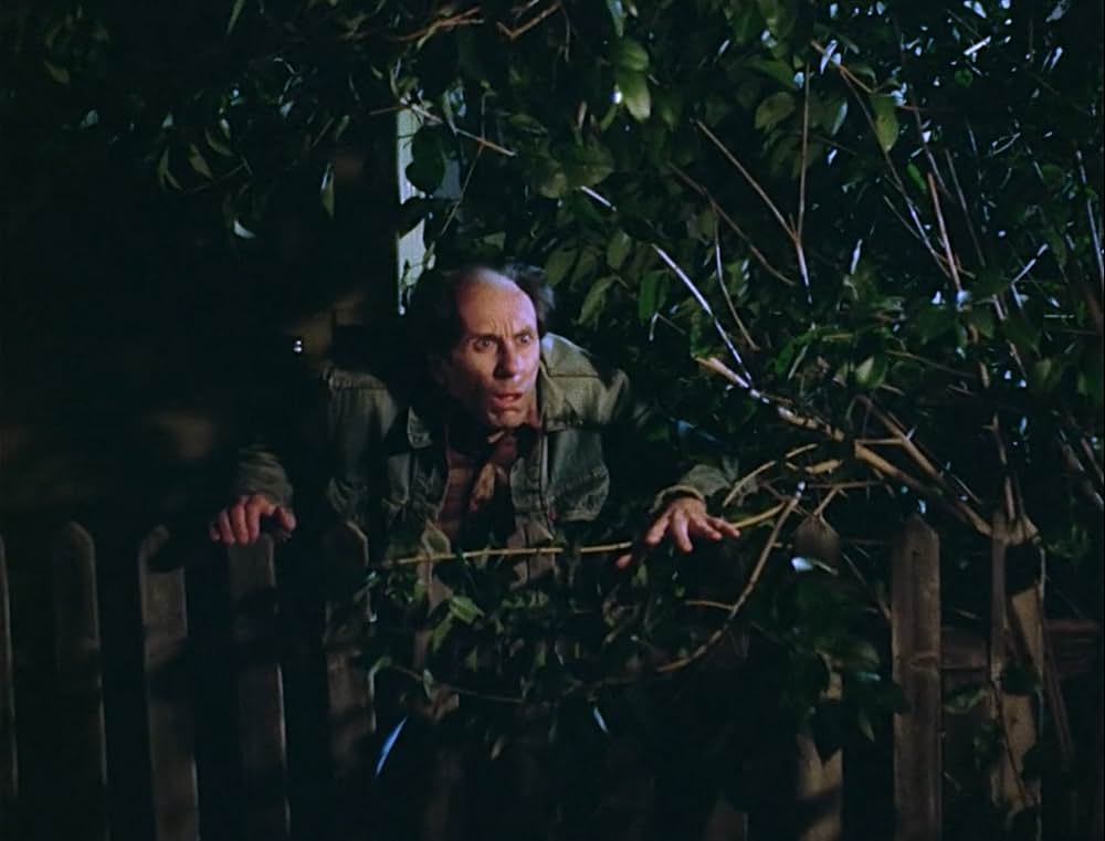 Little Corey Gorey（原題）の画像