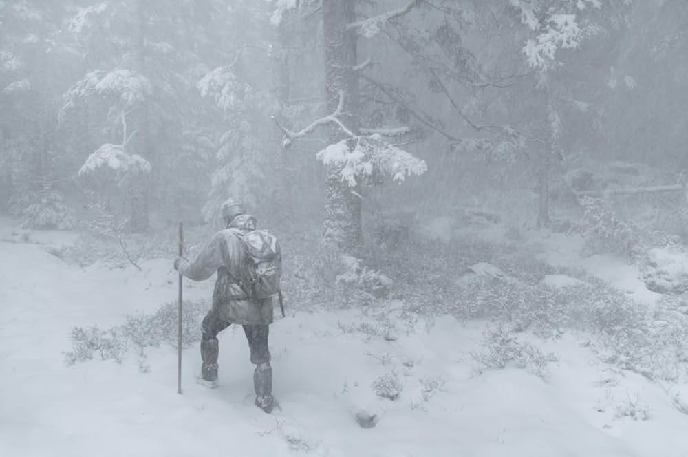Le chant des forêts（原題）の画像