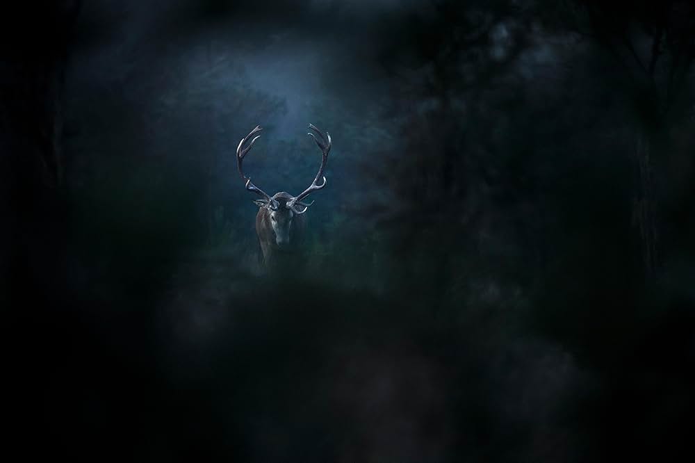 Le chant des forêts（原題）の画像