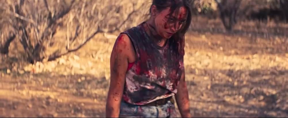 The Seed（原題）の画像