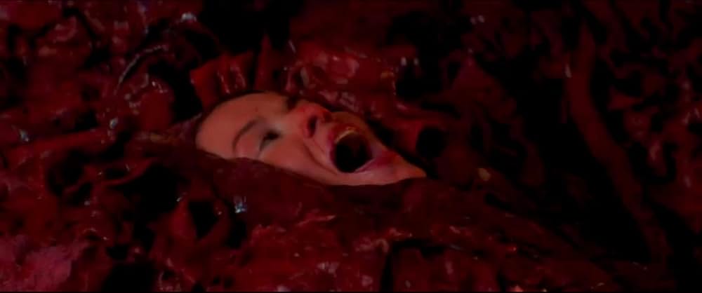 The Seed（原題）の画像