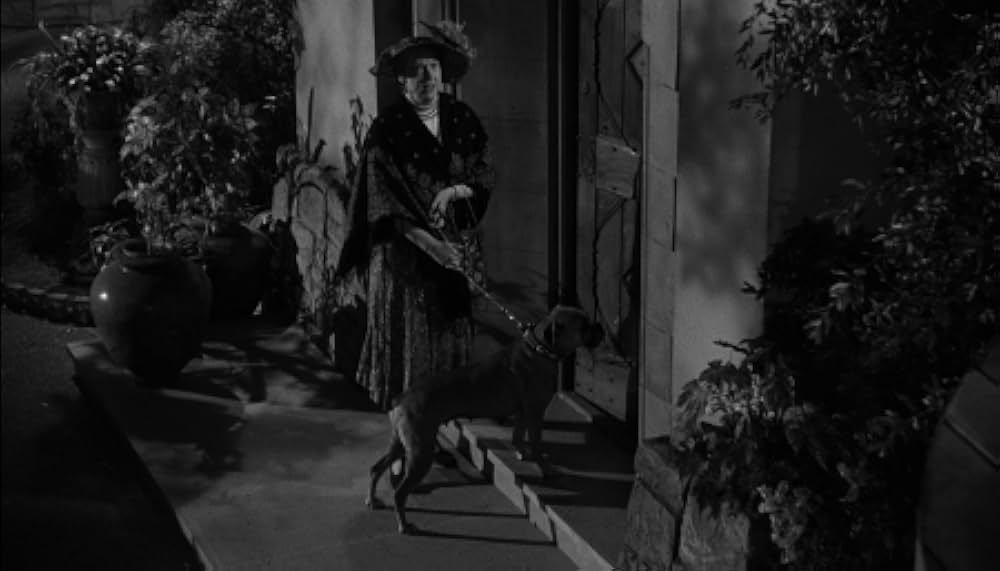 The Whole Truth（原題）の画像