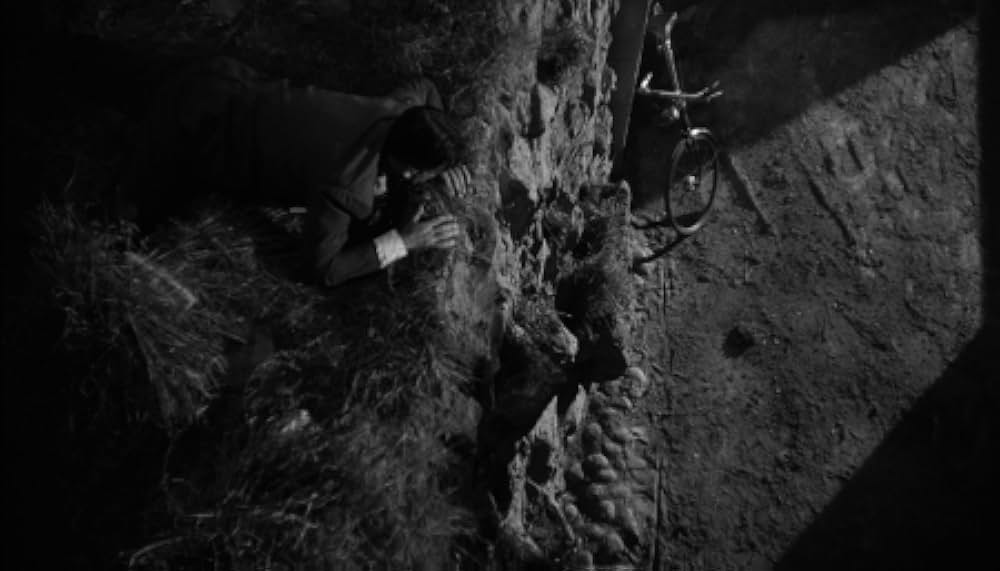 The Whole Truth（原題）の画像