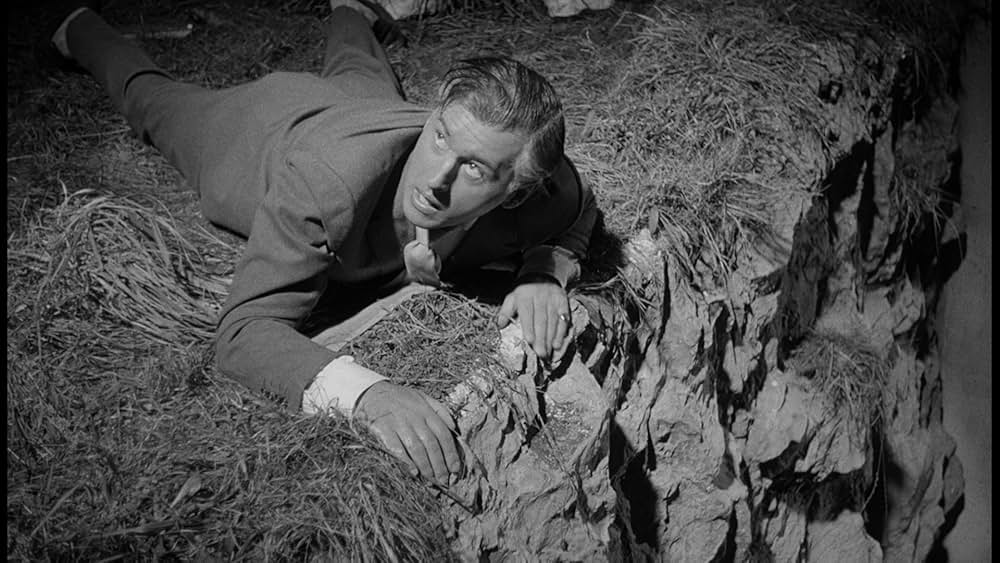 The Whole Truth（原題）の画像