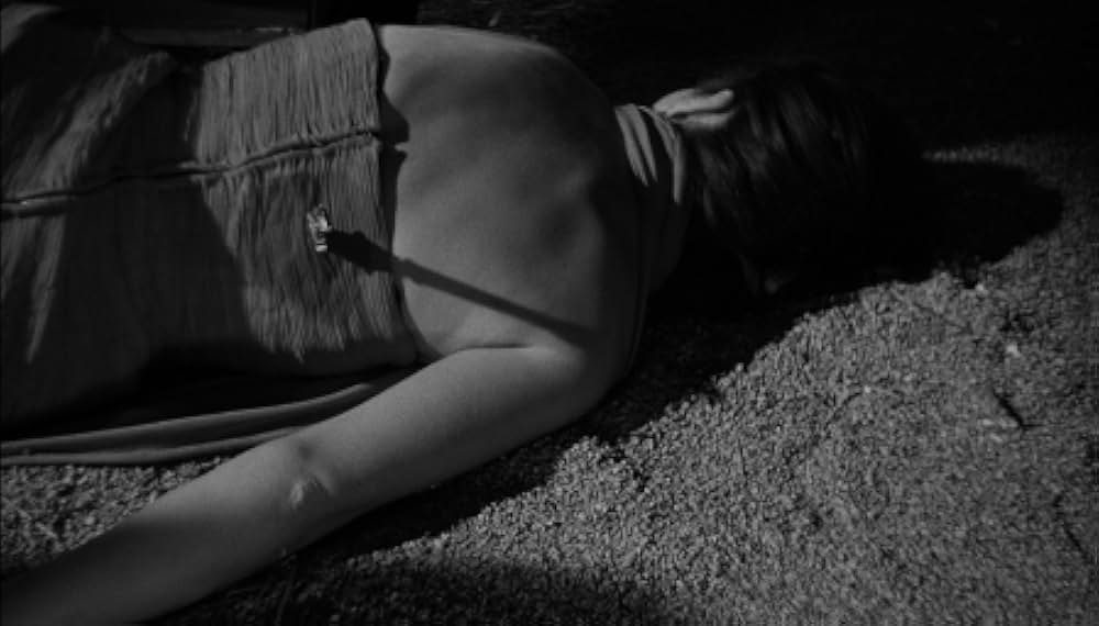 The Whole Truth（原題）の画像