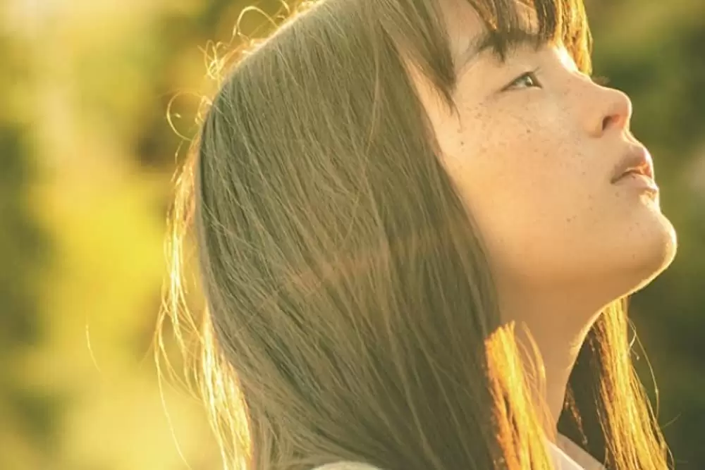 風の電話の画像