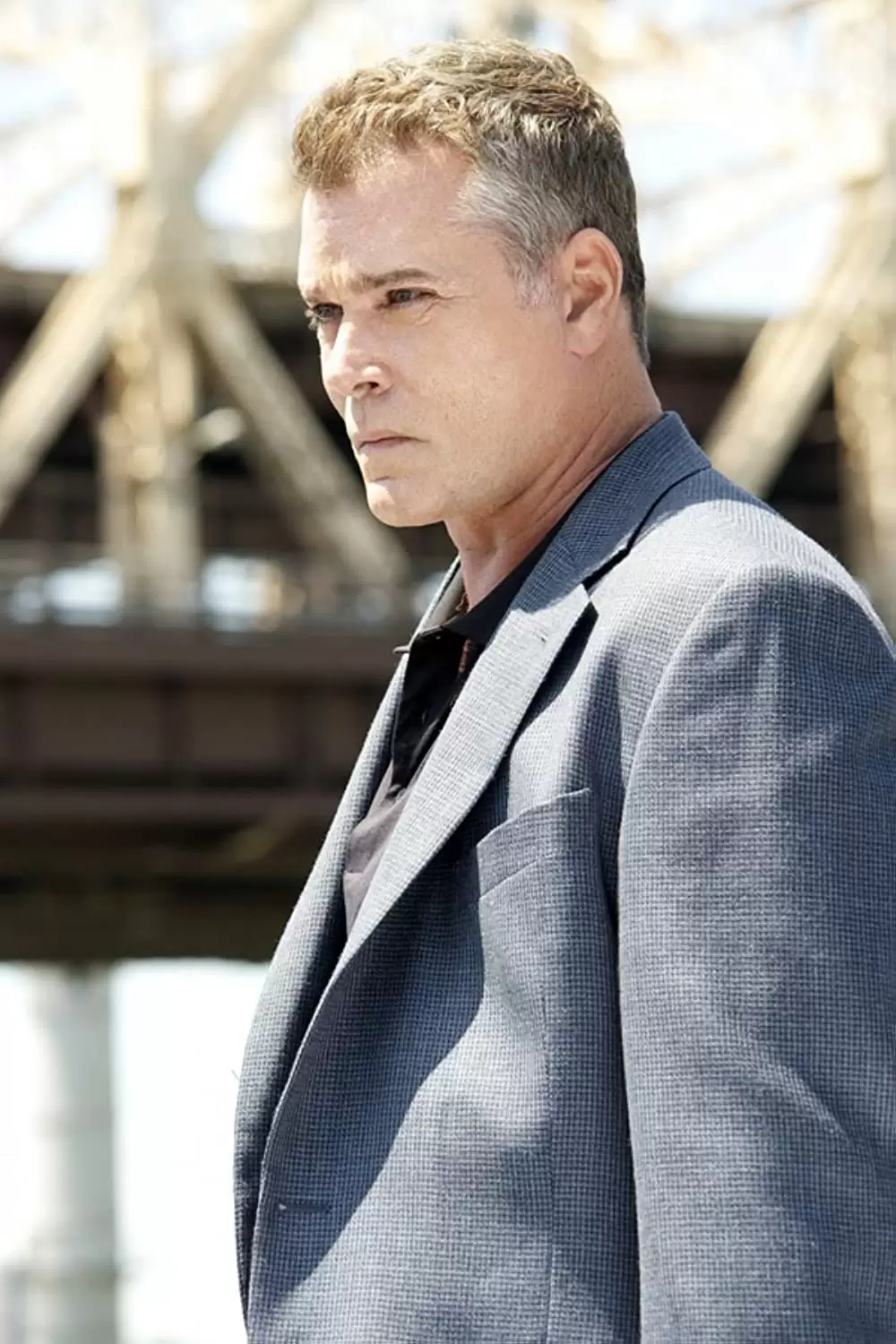 陰謀の代償 N.Y.コンフィデンシャルの画像