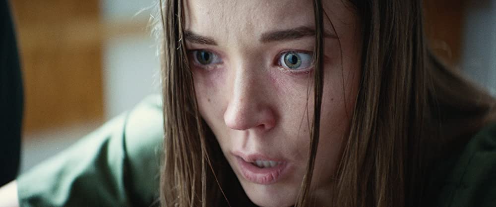 マッド・ハウスの画像