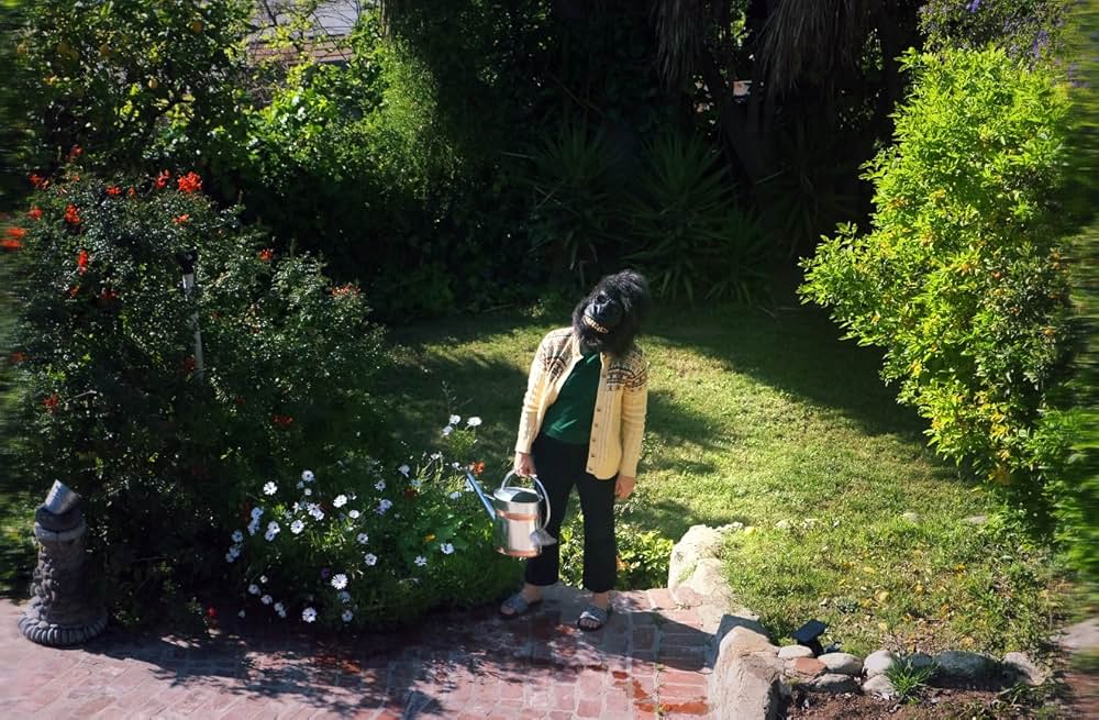 悲しみを乗り越える方法の写真