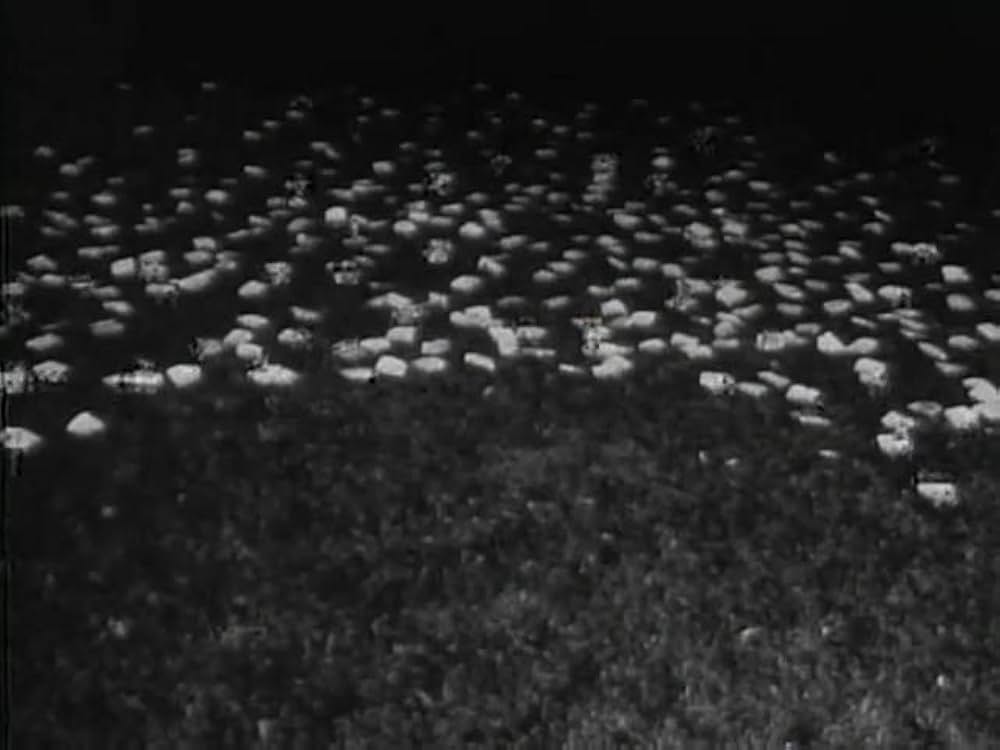 Night of the Living Bread（原題）の画像