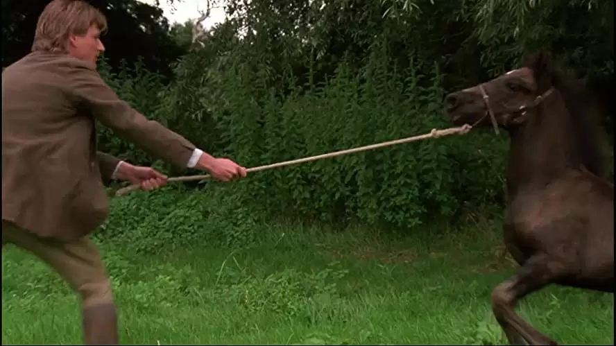 「ブラック・ビューティー／黒馬物語」アラン・カミング & アラン・アームストロングの画像