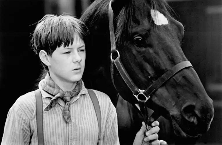 「ブラック・ビューティー／黒馬物語」アラン・カミング & アンドリュー・ノットの画像