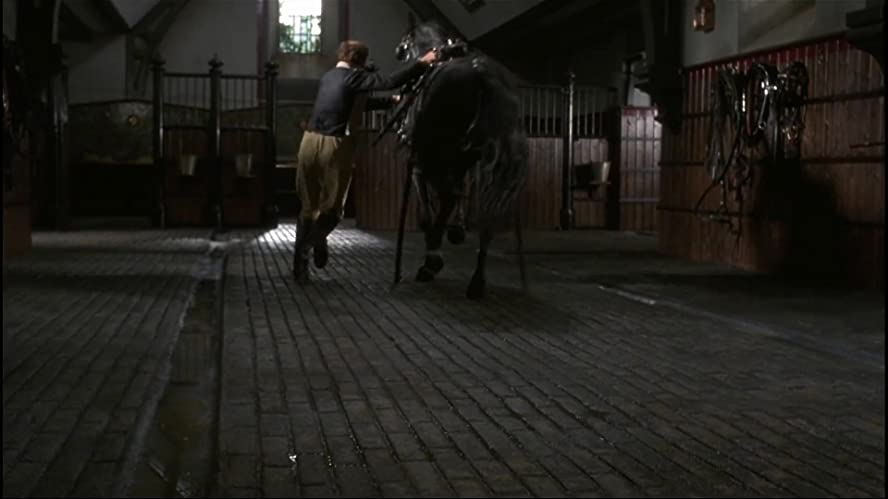 ブラック・ビューティー／黒馬物語の画像