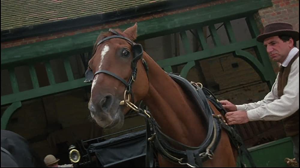 ブラック・ビューティー／黒馬物語の画像