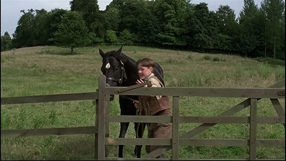 ブラック・ビューティー／黒馬物語の画像