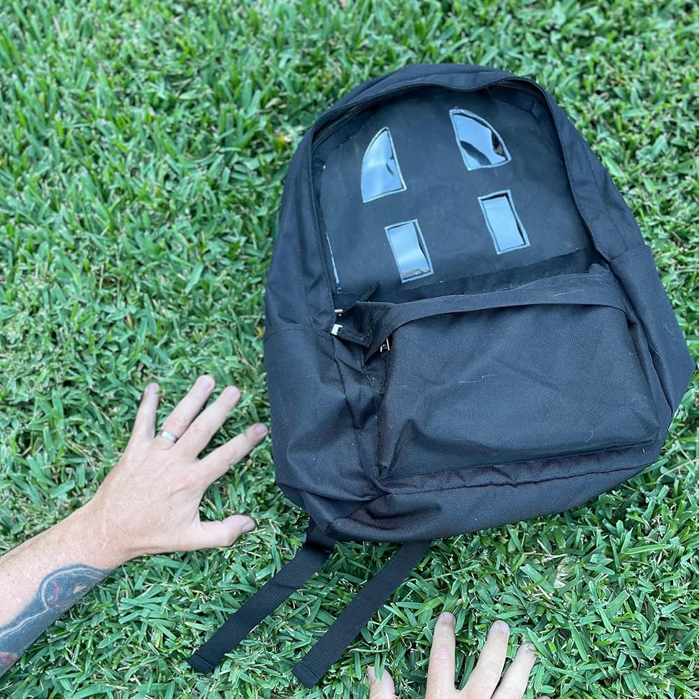 Amityville Backpack（原題）の写真