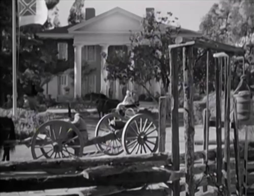 南部の英雄の写真