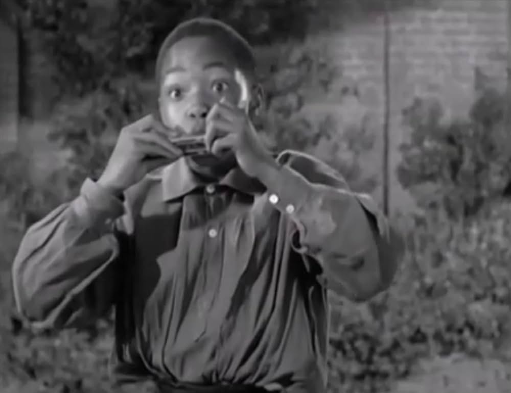 南部の英雄の画像