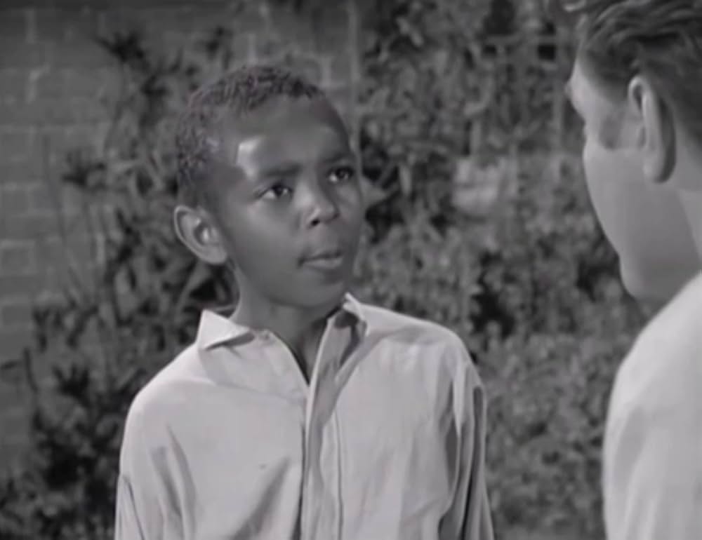 南部の英雄の画像