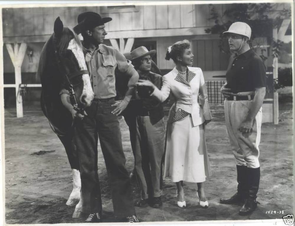 南部の英雄の画像