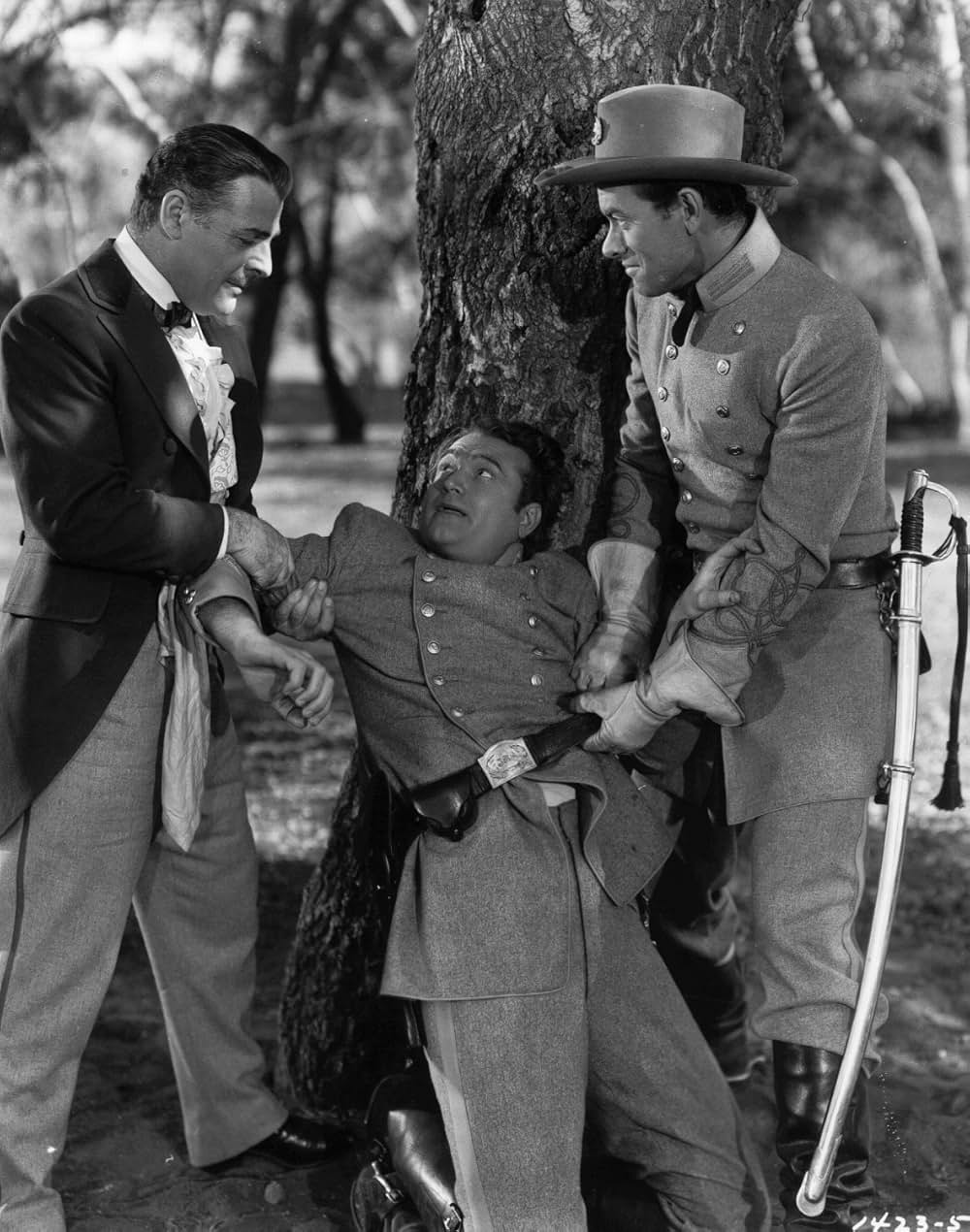 南部の英雄の画像