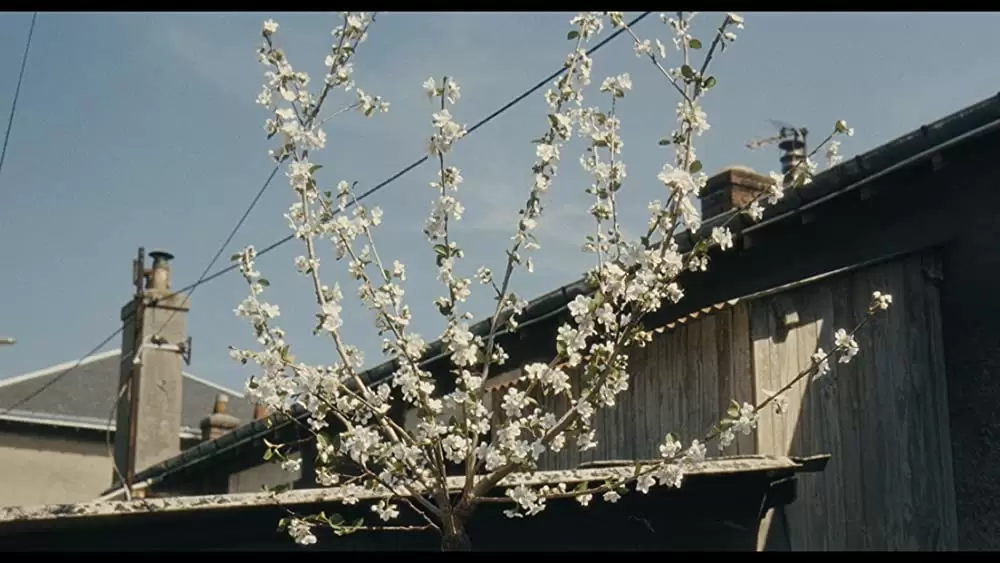 「ル・アーヴルの靴みがき」の画像