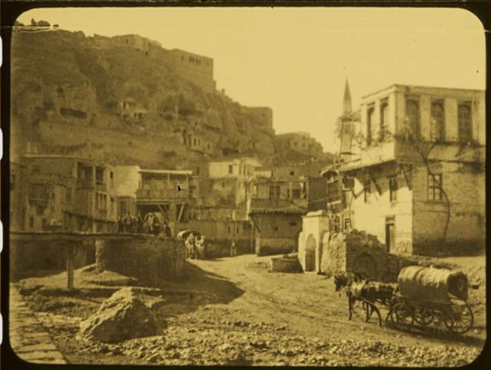 Grass: A Nation's Battle for Life（原題）の画像