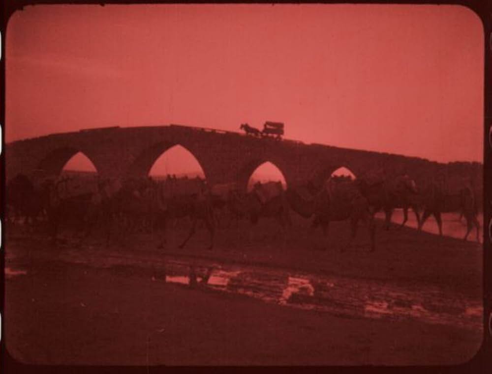 Grass: A Nation's Battle for Life（原題）の画像