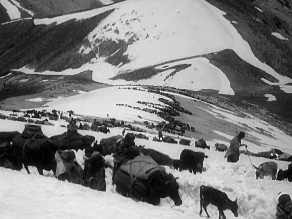 Grass: A Nation's Battle for Life（原題）の写真