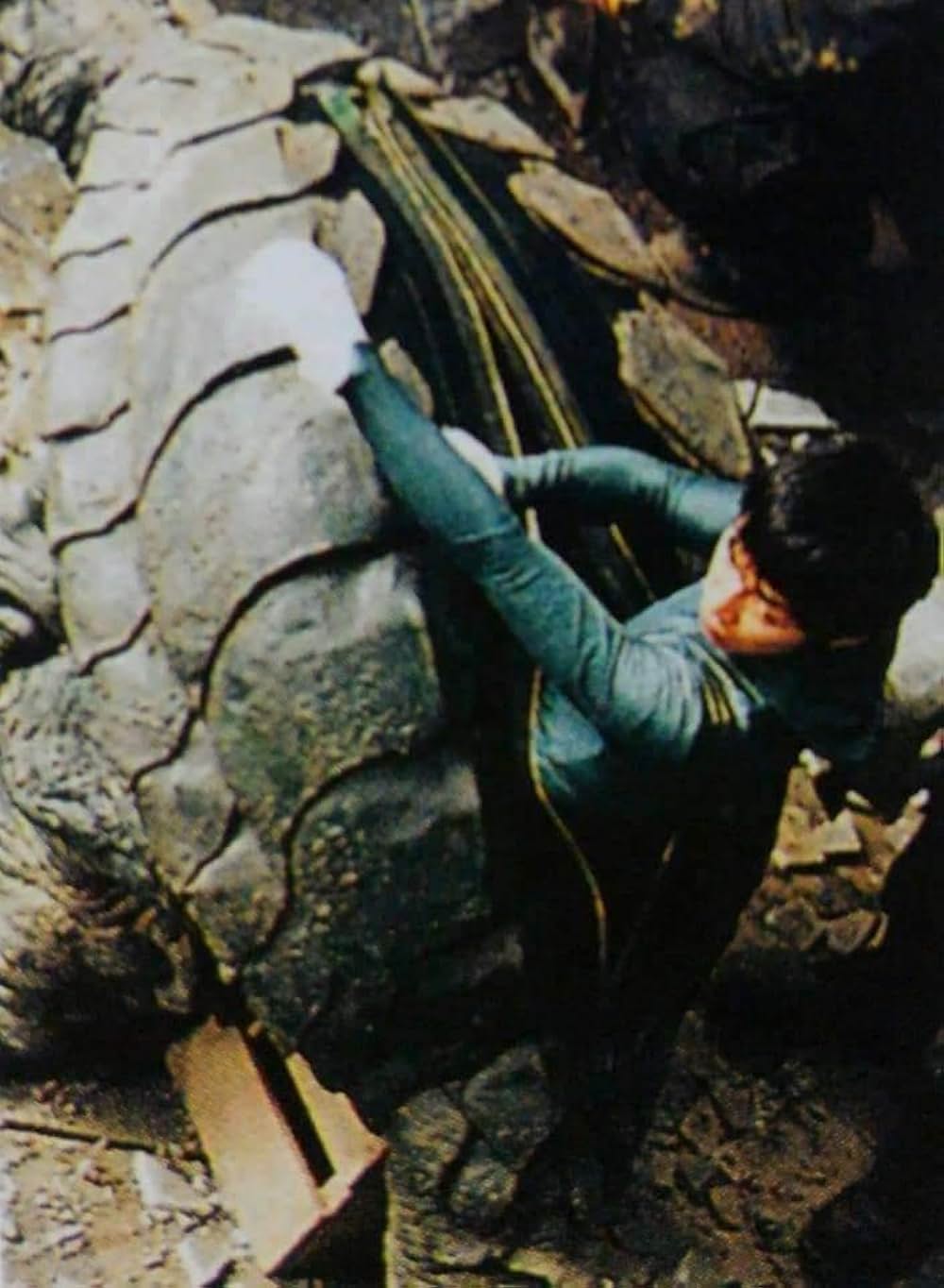 ガメラ2 レギオン襲来の画像