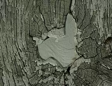 「落穂拾い」の画像