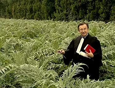 「落穂拾い」の画像